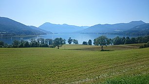 IMG-20190916-WA0008