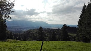 IMG-20191121-WA0009