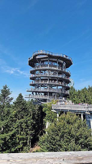 20240907_121134