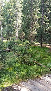 20150905_122353