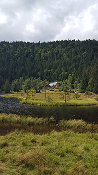 20150905_123920