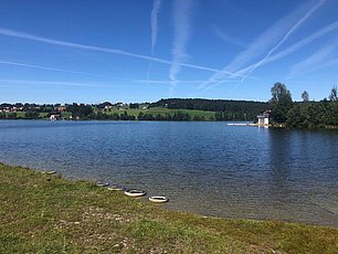 IMG-20191121-WA0002