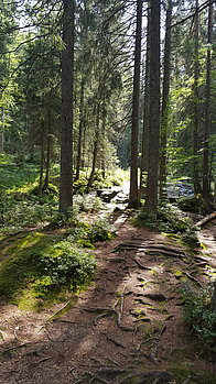 20150905_122424