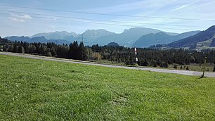 IMG-20191121-WA0019