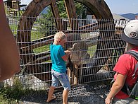IMG_20190831_134410