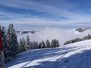 IMG-20170112-WA0001