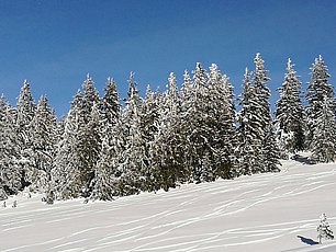 IMG-20170112-WA0002