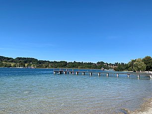 IMG-20191121-WA0008