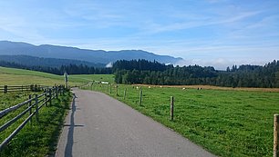 IMG-20190914-WA0005