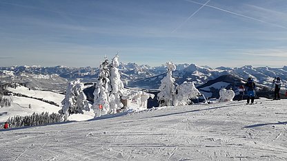 IMG-20190116-WA0010