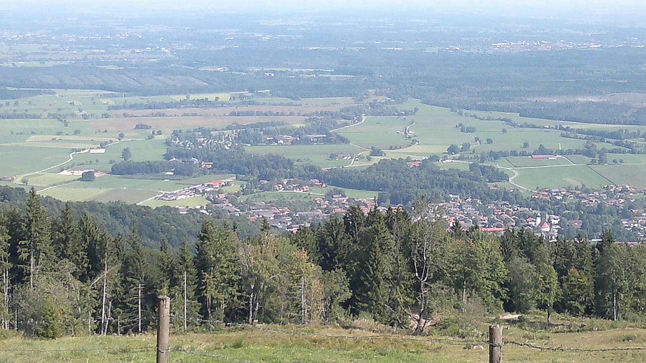 image-218