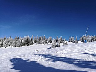 IMG-20170112-WA0004