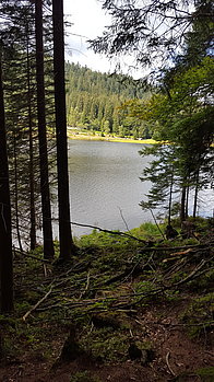 20150905_123340